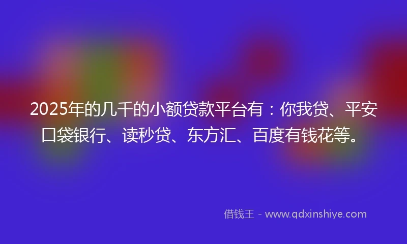 2025年的几千的小额贷款平台有：你我贷、平安口袋银行、读秒贷、东方汇、百度有钱花等。