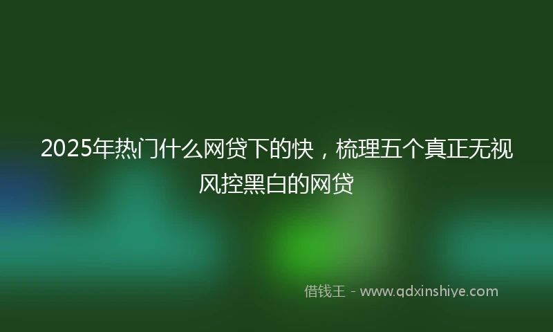 2025年热门什么网贷下的快，梳理五个真正无视风控黑白的网贷