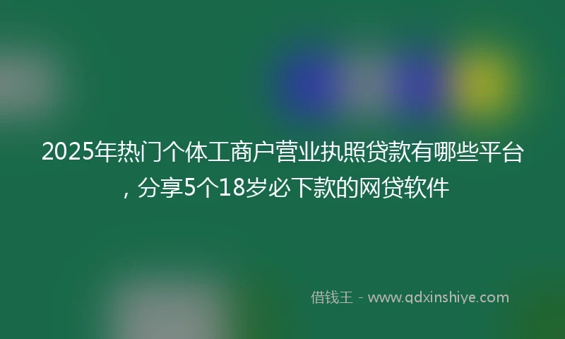2025年热门个体工商户营业执照贷款有哪些平台，分享5个18岁必下款的网贷软件