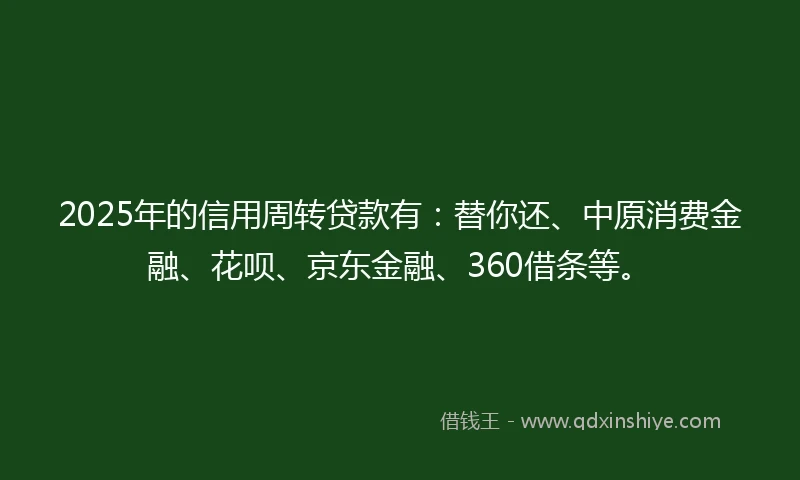 2025年的信用周转贷款有：替你还、中原消费金融、花呗、京东金融、360借条等。