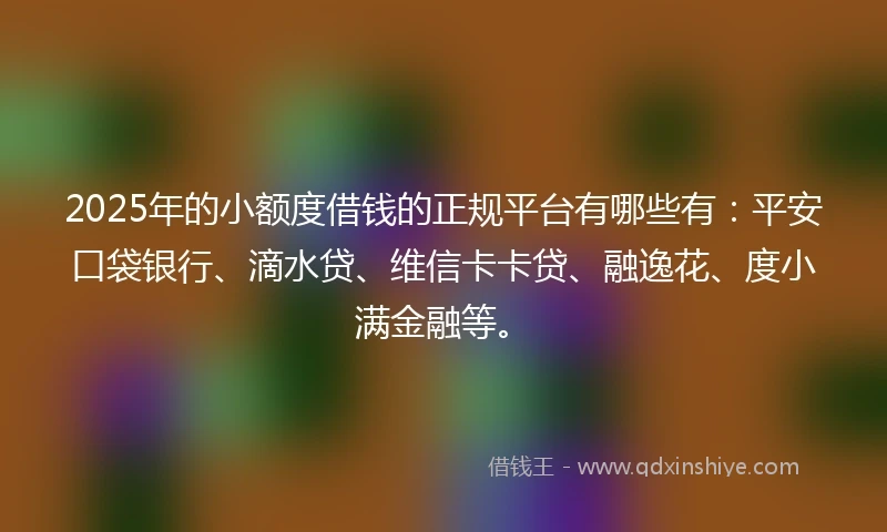 2025年的小额度借钱的正规平台有哪些有：平安口袋银行、滴水贷、维信卡卡贷、融逸花、度小满金融等。