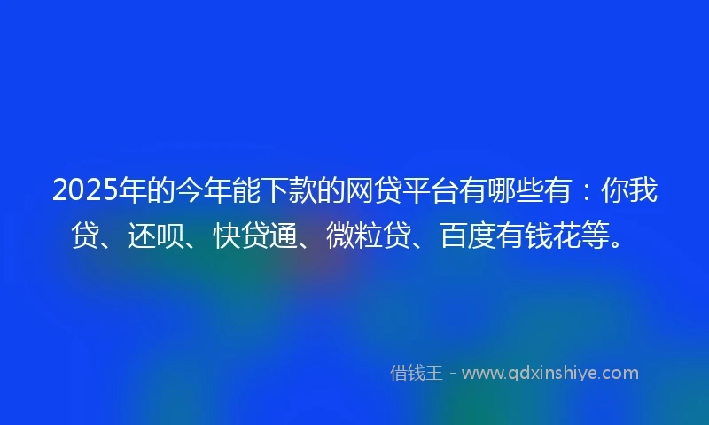 2025年的今年能下款的网贷平台有哪些有：你我贷、还呗、快贷通、微粒贷、百度有钱花等。