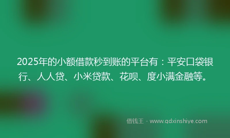 2025年的小额借款秒到账的平台有：平安口袋银行、人人贷、小米贷款、花呗、度小满金融等。
