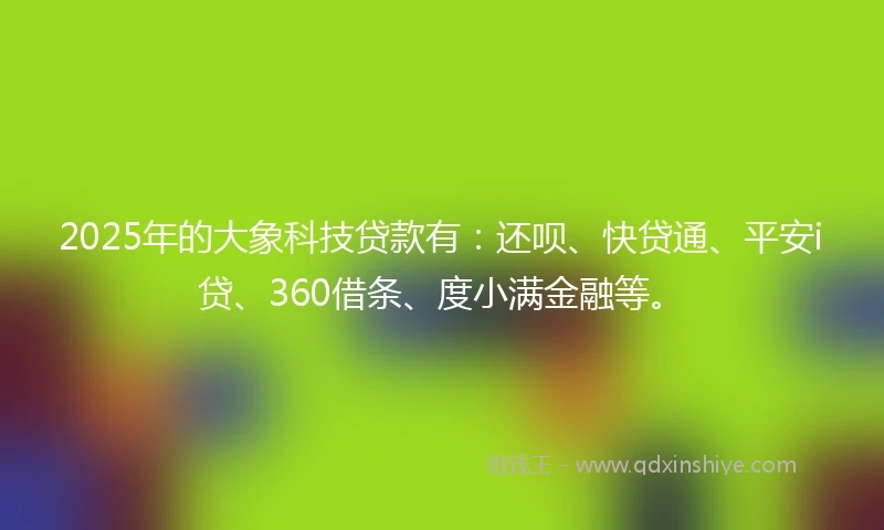 2025年的大象科技贷款有：还呗、快贷通、平安i贷、360借条、度小满金融等。