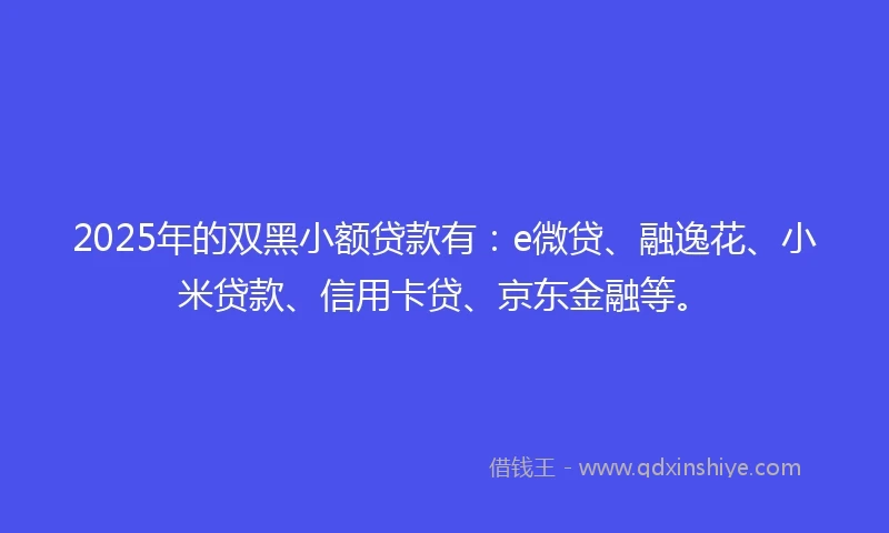 2025年的双黑小额贷款有：e微贷、融逸花、小米贷款、信用卡贷、京东金融等。