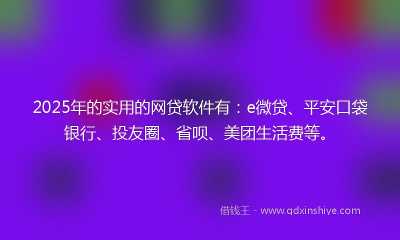 2025年的实用的网贷软件有：e微贷、平安口袋银行、投友圈、省呗、美团生活费等。