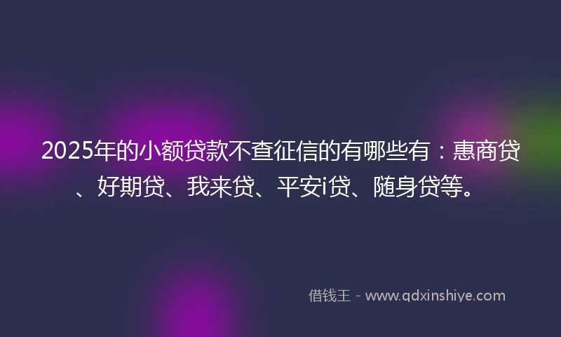 2025年的小额贷款不查征信的有哪些有：惠商贷、好期贷、我来贷、平安i贷、随身贷等。