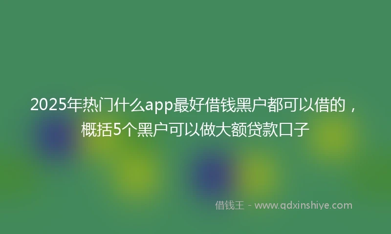 2025年热门什么app最好借钱黑户都可以借的，概括5个黑户可以做大额贷款口子