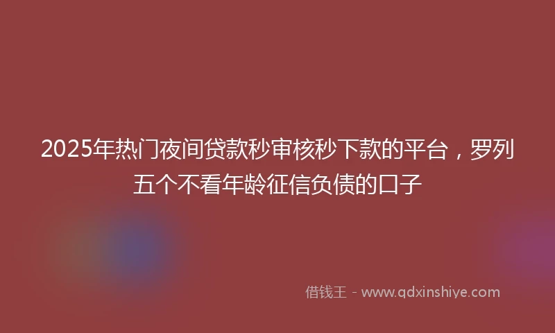 2025年热门夜间贷款秒审核秒下款的平台，罗列五个不看年龄征信负债的口子