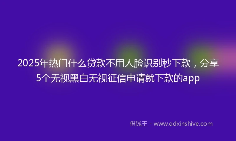 2025年热门什么贷款不用人脸识别秒下款，分享5个无视黑白无视征信申请就下款的app