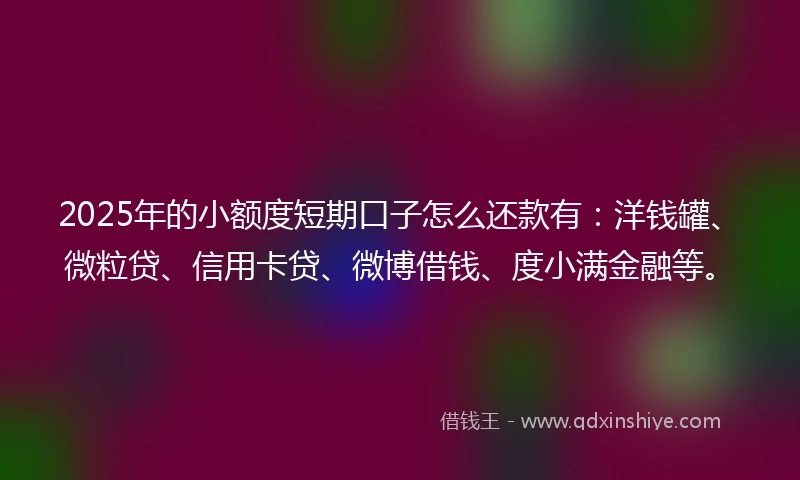 2025年的小额度短期口子怎么还款有：洋钱罐、微粒贷、信用卡贷、微博借钱、度小满金融等。