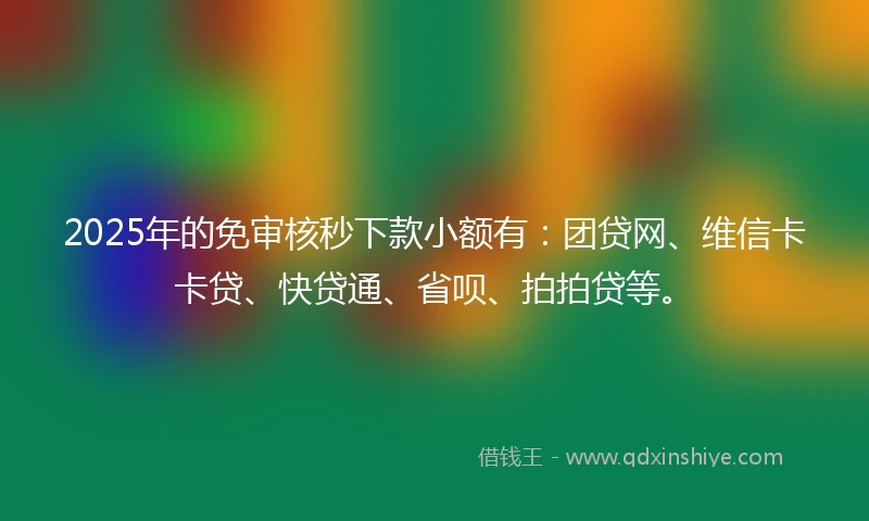 2025年的免审核秒下款小额有：团贷网、维信卡卡贷、快贷通、省呗、拍拍贷等。