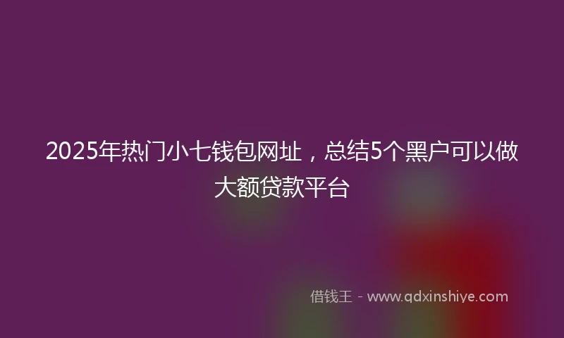 2025年热门小七钱包网址，总结5个黑户可以做大额贷款平台