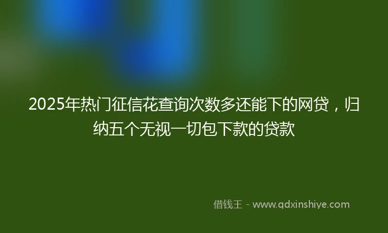 2025年热门征信花查询次数多还能下的网贷，归纳五个无视一切包下款的贷款