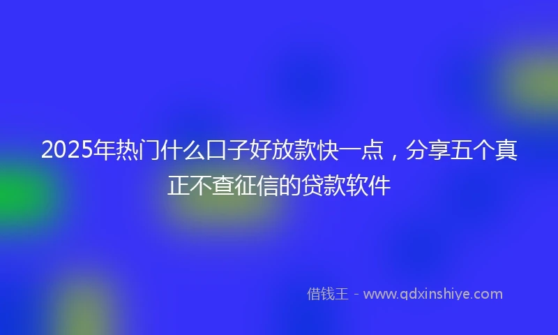 2025年热门什么口子好放款快一点，分享五个真正不查征信的贷款软件