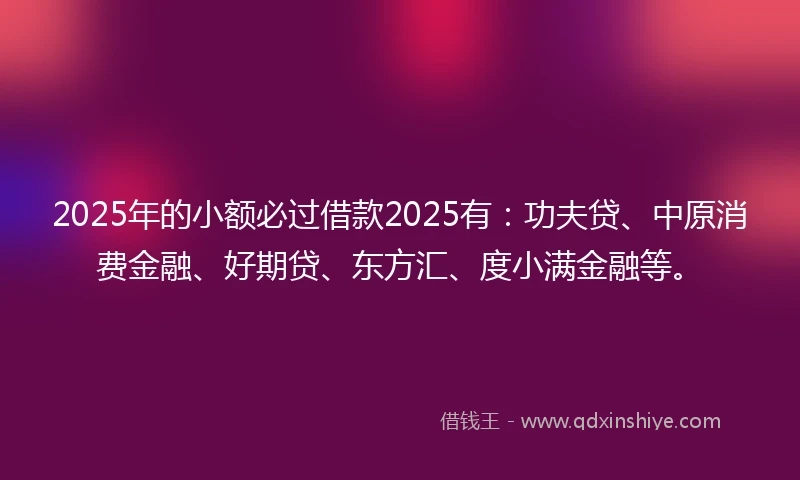 2025年的小额必过借款2025有：功夫贷、中原消费金融、好期贷、东方汇、度小满金融等。