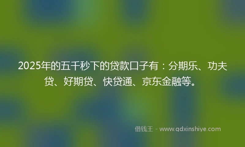 2025年的五千秒下的贷款口子有：分期乐、功夫贷、好期贷、快贷通、京东金融等。