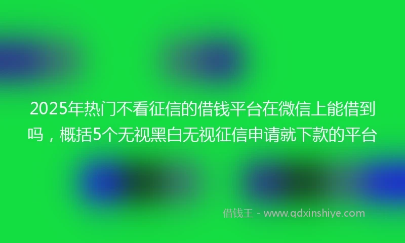 2025年热门不看征信的借钱平台在微信上能借到吗，概括5个无视黑白无视征信申请就下款的平台