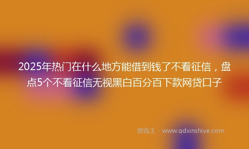 2025年热门在什么地方能借到钱了不看征信，盘点5个不看征信无视黑白百分百下款网贷口子