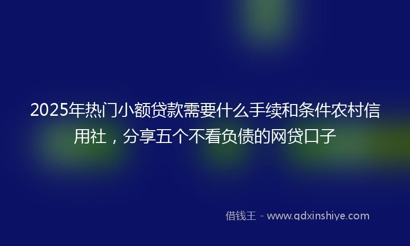2025年热门小额贷款需要什么手续和条件农村信用社，分享五个不看负债的网贷口子