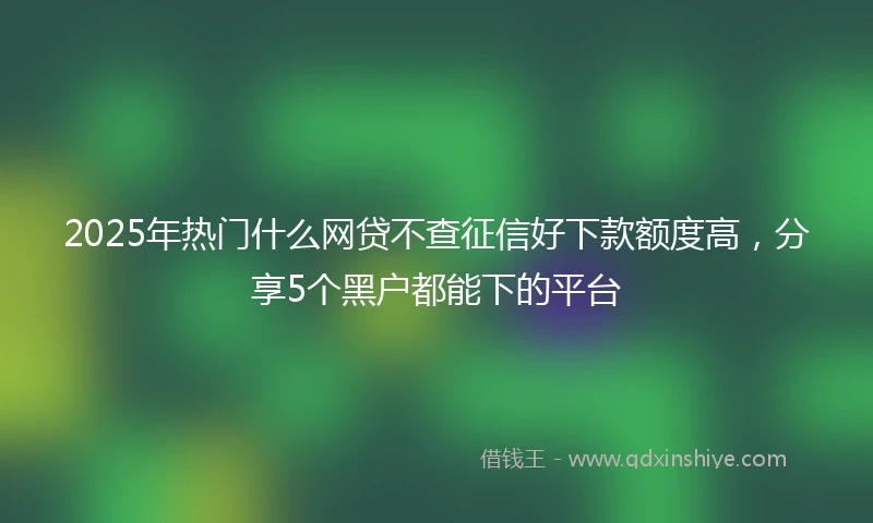2025年热门什么网贷不查征信好下款额度高，分享5个黑户都能下的平台