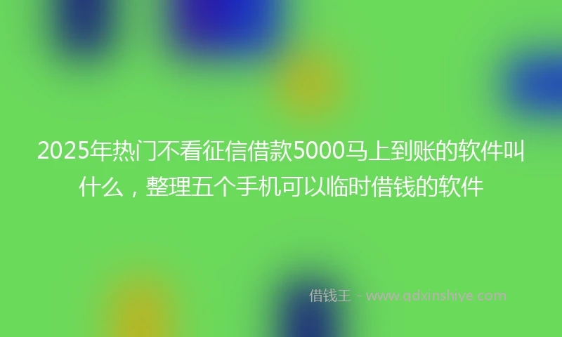 2025年热门不看征信借款5000马上到账的软件叫什么，整理五个手机可以临时借钱的软件