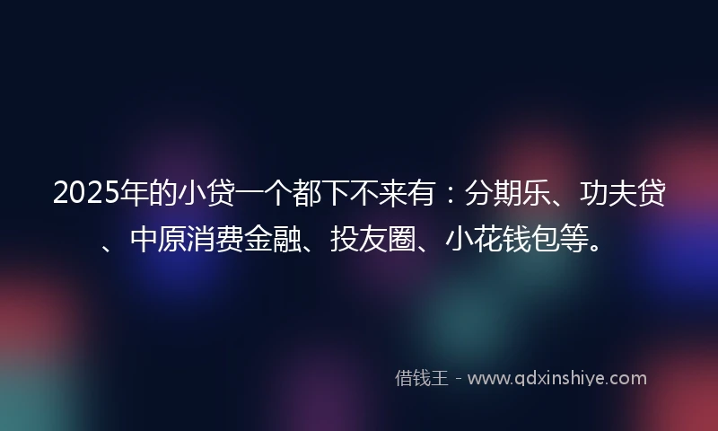 2025年的小贷一个都下不来有：分期乐、功夫贷、中原消费金融、投友圈、小花钱包等。