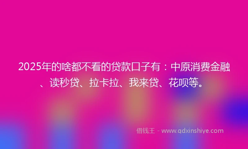 2025年的啥都不看的贷款口子有：中原消费金融、读秒贷、拉卡拉、我来贷、花呗等。