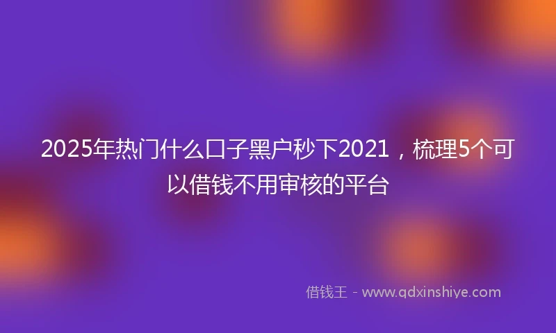 2025年热门什么口子黑户秒下2021，梳理5个可以借钱不用审核的平台