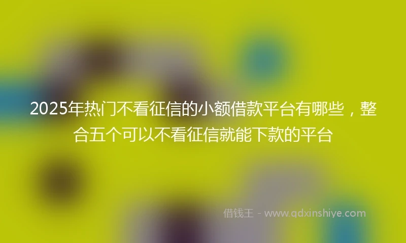2025年热门不看征信的小额借款平台有哪些，整合五个可以不看征信就能下款的平台