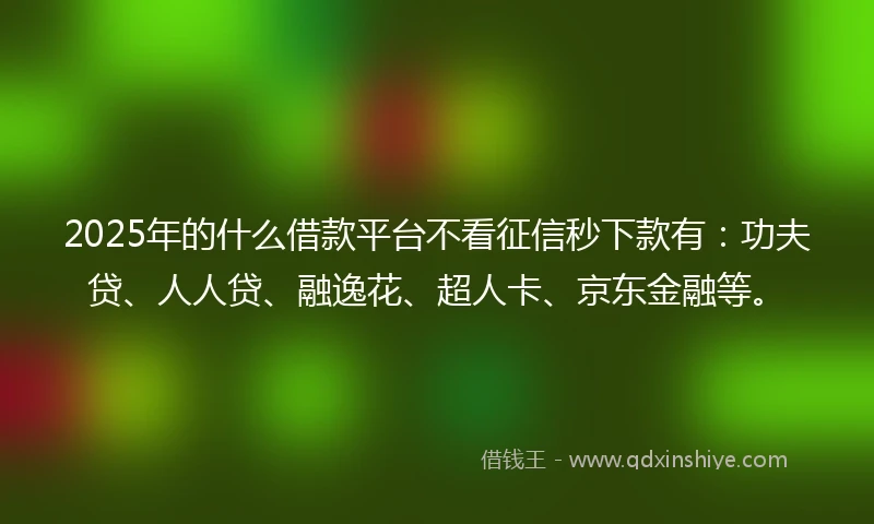 2025年的什么借款平台不看征信秒下款有：功夫贷、人人贷、融逸花、超人卡、京东金融等。
