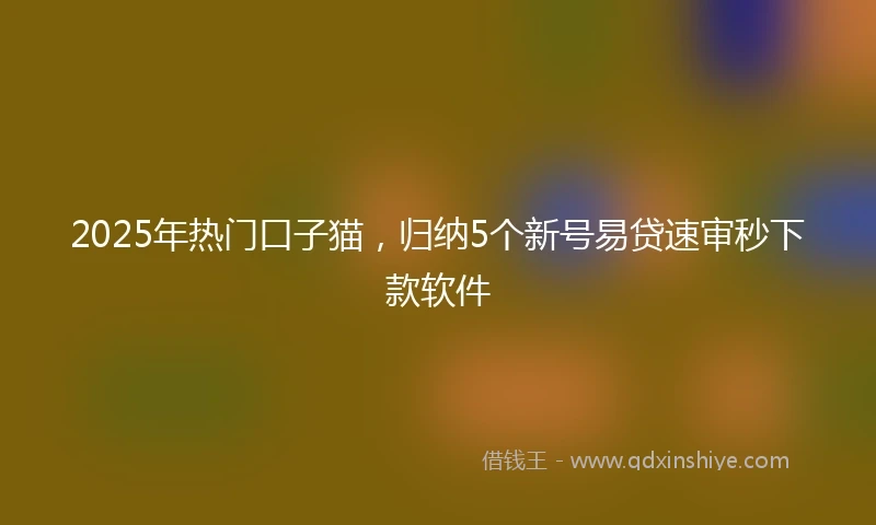 2025年热门口子猫，归纳5个新号易贷速审秒下款软件