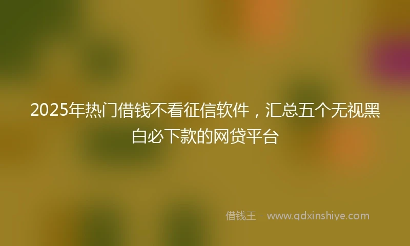 2025年热门借钱不看征信软件，汇总五个无视黑白必下款的网贷平台
