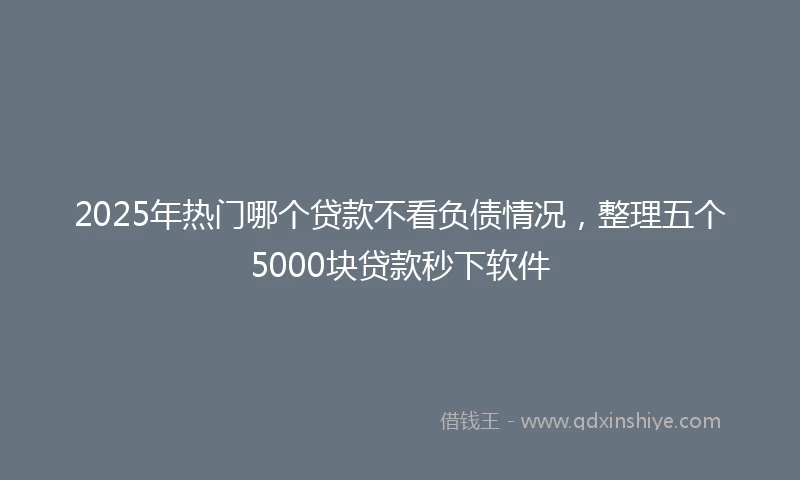 2025年热门哪个贷款不看负债情况，整理五个5000块贷款秒下软件