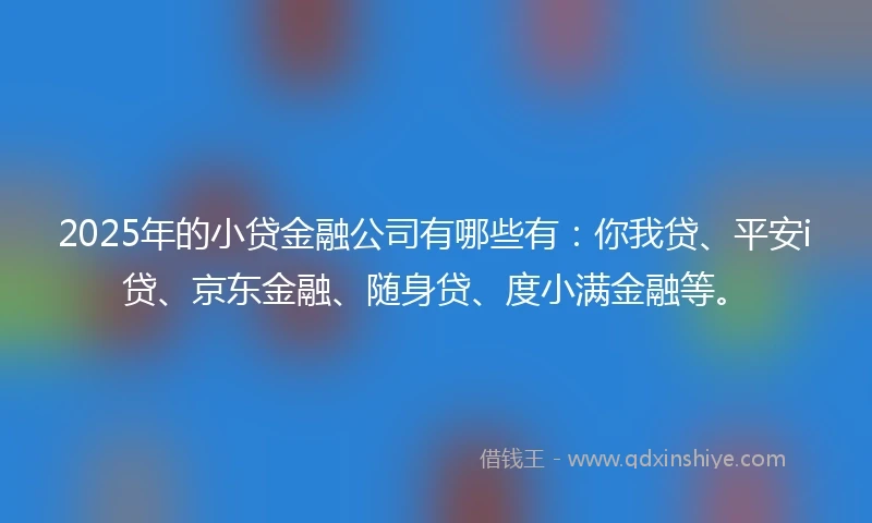 2025年的小贷金融公司有哪些有：你我贷、平安i贷、京东金融、随身贷、度小满金融等。