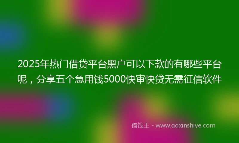 2025年热门借贷平台黑户可以下款的有哪些平台呢，分享五个急用钱5000快审快贷无需征信软件