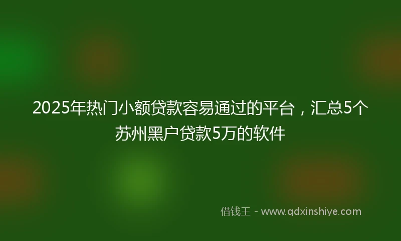 2025年热门小额贷款容易通过的平台，汇总5个苏州黑户贷款5万的软件