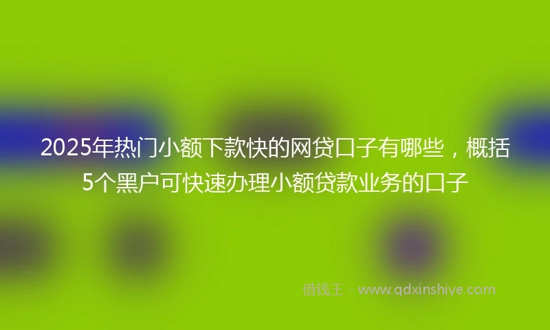 2025年热门小额下款快的网贷口子有哪些，概括5个黑户可快速办理小额贷款业务的口子