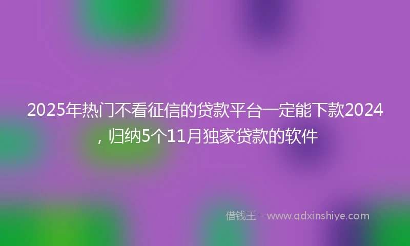 2025年热门不看征信的贷款平台一定能下款2024，归纳5个11月独家贷款的软件