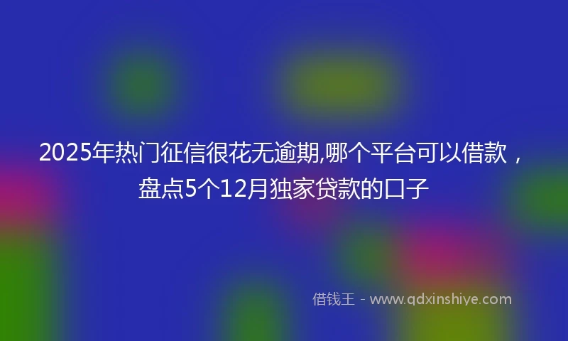 2025年热门征信很花无逾期,哪个平台可以借款，盘点5个12月独家贷款的口子