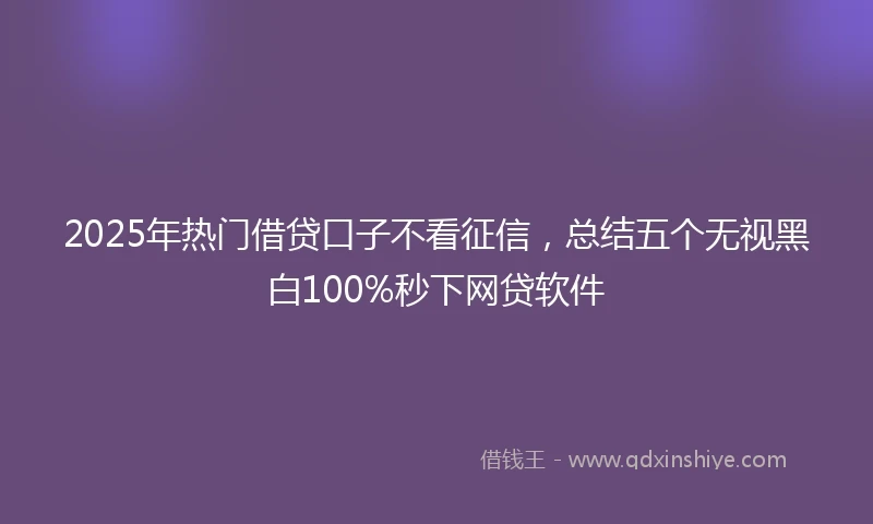 2025年热门借贷口子不看征信，总结五个无视黑白100%秒下网贷软件