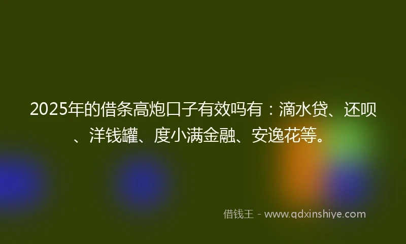 2025年的借条高炮口子有效吗有：滴水贷、还呗、洋钱罐、度小满金融、安逸花等。