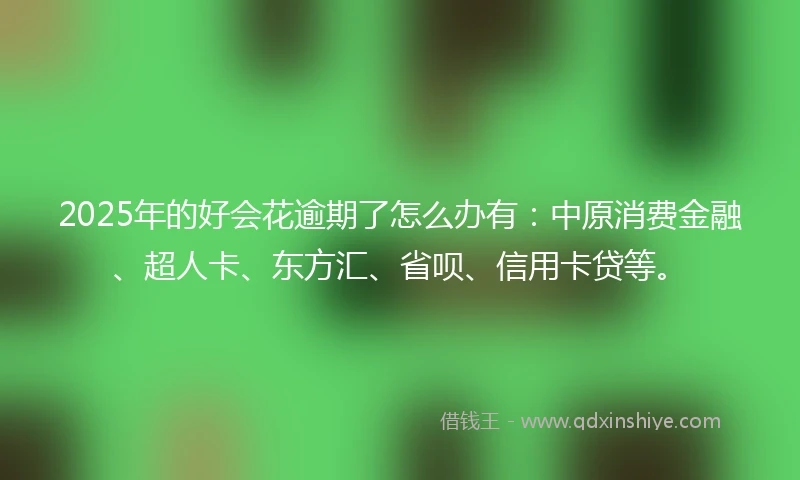 2025年的好会花逾期了怎么办有：中原消费金融、超人卡、东方汇、省呗、信用卡贷等。