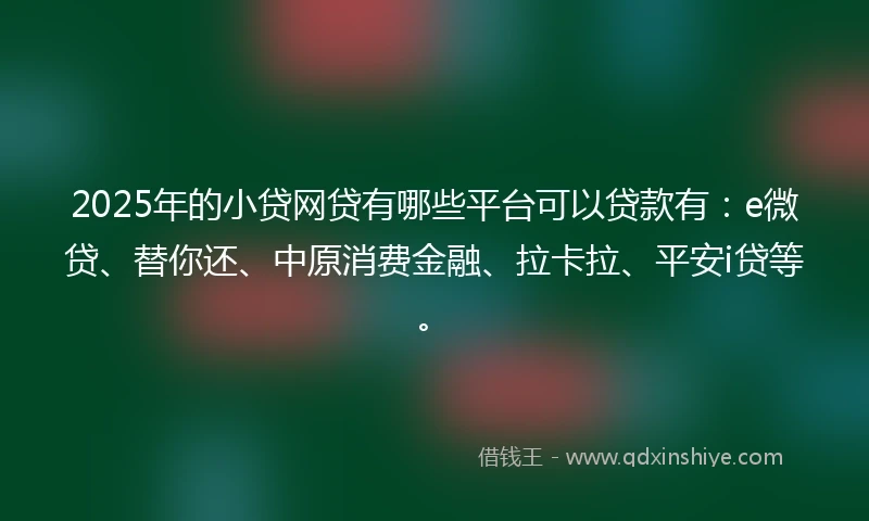 2025年的小贷网贷有哪些平台可以贷款有：e微贷、替你还、中原消费金融、拉卡拉、平安i贷等。