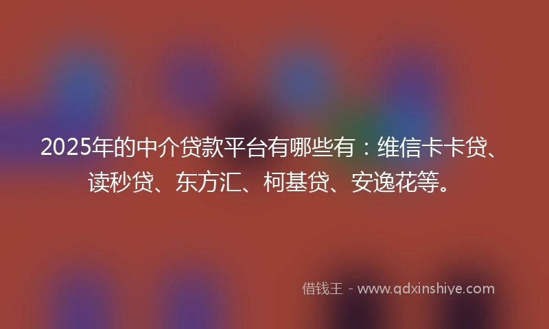 2025年的中介贷款平台有哪些有：维信卡卡贷、读秒贷、东方汇、柯基贷、安逸花等。