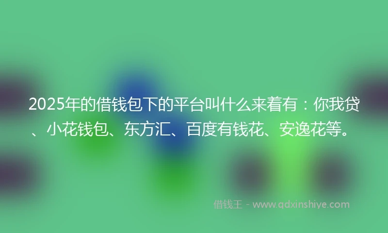2025年的借钱包下的平台叫什么来着有：你我贷、小花钱包、东方汇、百度有钱花、安逸花等。