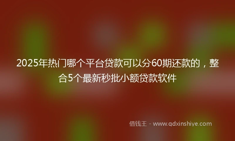 2025年热门哪个平台贷款可以分60期还款的，整合5个最新秒批小额贷款软件