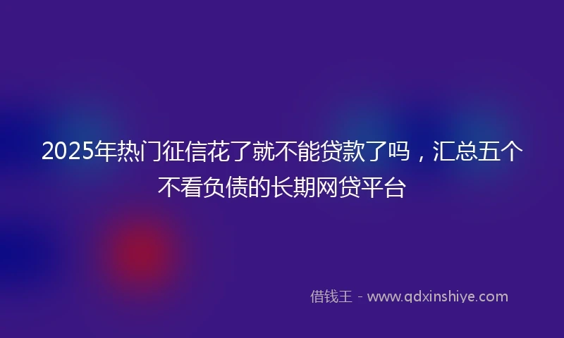 2025年热门征信花了就不能贷款了吗，汇总五个不看负债的长期网贷平台