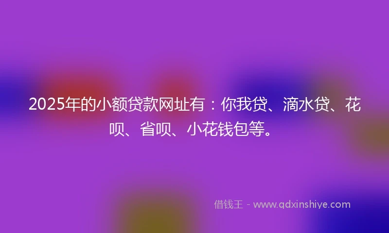 2025年的小额贷款网址有：你我贷、滴水贷、花呗、省呗、小花钱包等。