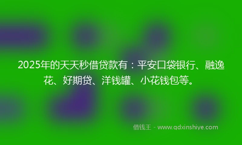 2025年的天天秒借贷款有：平安口袋银行、融逸花、好期贷、洋钱罐、小花钱包等。